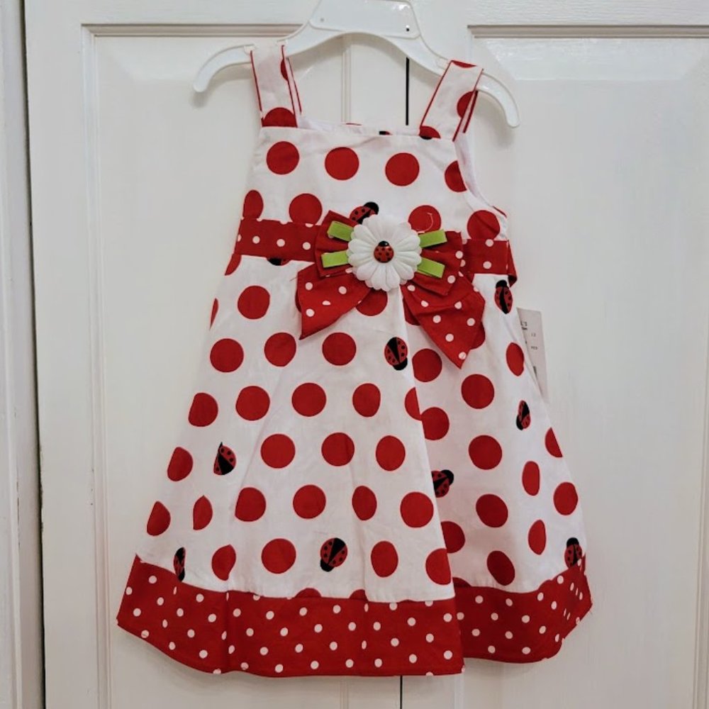 Sophie Rose Ladybug Dress Size 12 Months